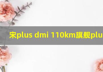 宋plus dmi 110km旗舰plus提车